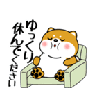 飛び出す！超ぽっちゃり豆柴の挨拶（個別スタンプ：18）