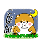 飛び出す！超ぽっちゃり豆柴の挨拶（個別スタンプ：19）
