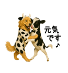ゴールデンレトリバー★牛の着ぐるみ＆子牛（個別スタンプ：10）