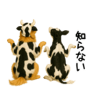 ゴールデンレトリバー★牛の着ぐるみ＆子牛（個別スタンプ：11）