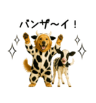 ゴールデンレトリバー★牛の着ぐるみ＆子牛（個別スタンプ：21）