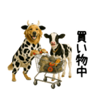 ゴールデンレトリバー★牛の着ぐるみ＆子牛（個別スタンプ：26）
