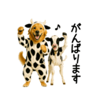 ゴールデンレトリバー★牛の着ぐるみ＆子牛（個別スタンプ：28）