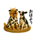 ゴールデンレトリバー★牛の着ぐるみ＆子牛（個別スタンプ：31）