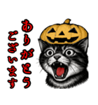 猫の叫び♡秋【日常挨拶】（個別スタンプ：9）