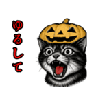猫の叫び♡秋【日常挨拶】（個別スタンプ：11）