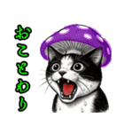 猫の叫び♡秋【日常挨拶】（個別スタンプ：16）