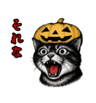 猫の叫び♡秋【日常挨拶】（個別スタンプ：25）
