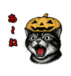 猫の叫び♡秋【日常挨拶】（個別スタンプ：26）