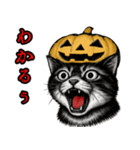 猫の叫び♡秋【日常挨拶】（個別スタンプ：27）