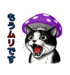 猫の叫び♡秋【日常挨拶】（個別スタンプ：32）