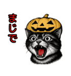 猫の叫び♡秋【日常挨拶】（個別スタンプ：35）