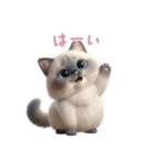 【日本語】 ラグドール スタンプ 2（個別スタンプ：12）