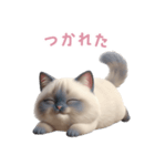 【日本語】 ラグドール スタンプ 2（個別スタンプ：13）