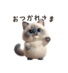 【日本語】 ラグドール スタンプ 1（個別スタンプ：1）