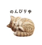 【日本語】 サイベリアン スタンプ 1（個別スタンプ：5）
