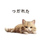 【日本語】 サイベリアン スタンプ 1（個別スタンプ：13）