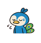 見てくるクジャクの圧便@SFW（個別スタンプ：11）