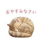 【日本語】 サイベリアン スタンプ 2（個別スタンプ：11）