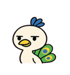 ドヤりクジャクのごきげん便@SFW（個別スタンプ：4）