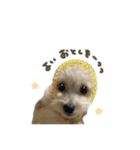 ピノくん☆シーズン2026（個別スタンプ：7）