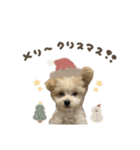 ピノくん☆シーズン2026（個別スタンプ：12）