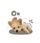 ピノくん☆シーズン2026（個別スタンプ：13）
