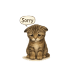 リアル子猫の感情表現スタンプ（個別スタンプ：4）