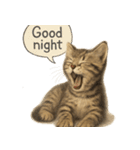 リアル子猫の感情表現スタンプ（個別スタンプ：5）