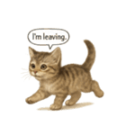 リアル子猫の感情表現スタンプ（個別スタンプ：7）