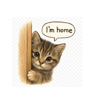 リアル子猫の感情表現スタンプ（個別スタンプ：8）