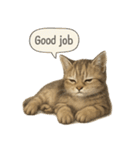 リアル子猫の感情表現スタンプ（個別スタンプ：10）