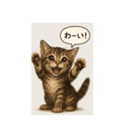 リアル子猫の感情表現スタンプ（個別スタンプ：11）