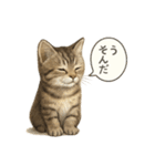 リアル子猫の感情表現スタンプ（個別スタンプ：15）