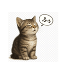 リアル子猫の感情表現スタンプ（個別スタンプ：19）