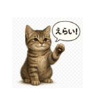 リアル子猫の感情表現スタンプ（個別スタンプ：20）