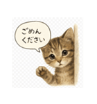 リアル子猫の感情表現スタンプ（個別スタンプ：21）