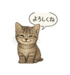 リアル子猫の感情表現スタンプ（個別スタンプ：23）