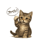 リアル子猫の感情表現スタンプ（個別スタンプ：27）