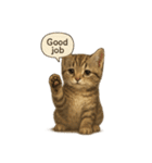 リアル子猫の感情表現スタンプ（個別スタンプ：35）