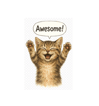 リアル子猫の感情表現スタンプ（個別スタンプ：36）