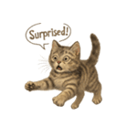 リアル子猫の感情表現スタンプ（個別スタンプ：37）