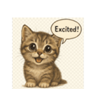 リアル子猫の感情表現スタンプ（個別スタンプ：38）