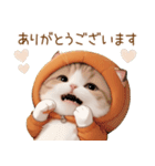 スコティッシュ猫 みかん服 ネガティブ敬語（個別スタンプ：2）