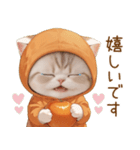 スコティッシュ猫 みかん服 ネガティブ敬語（個別スタンプ：5）