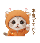 スコティッシュ猫 みかん服 ネガティブ敬語（個別スタンプ：7）