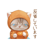 スコティッシュ猫 みかん服 ネガティブ敬語（個別スタンプ：14）