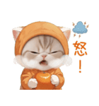 スコティッシュ猫 みかん服 ネガティブ敬語（個別スタンプ：17）