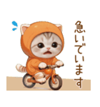 スコティッシュ猫 みかん服 ネガティブ敬語（個別スタンプ：19）