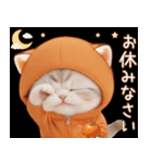 スコティッシュ猫 みかん服 ネガティブ敬語（個別スタンプ：23）